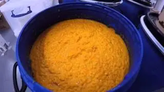 Chilli Mash Production