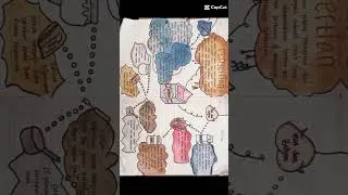 Peta pikiran || mind map bioteknologi pangan ||