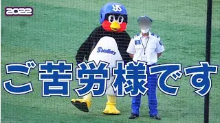 ハマスタで警備員を労うつば九郎