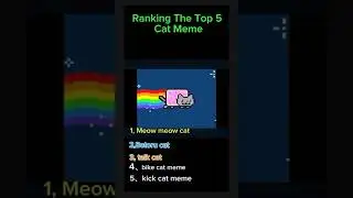 Ranking cat meme #ranking#meme#ランキング#猫#cat#animaru#shorts