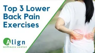 How to Reduce Lower Back Pain Naturally (Top 3 Lower Back Exercises)