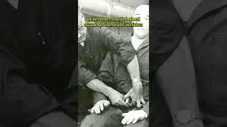 TIL: The History of the Seatbelt | #shorts #trivia #fyp #knowledge to #learn