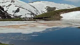 dog doing funn at saru lake chansal pass