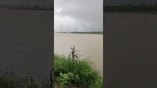delhi yamuna flood 206.3 mtr lohe ka pul