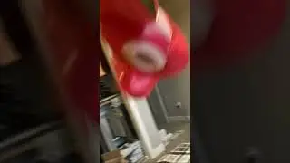 Flying miko￼
