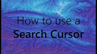 How to use a Search Cursor - ArcGIS Pro