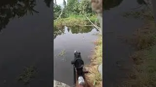 tes red dot paser ikan#pasermania #paserikan