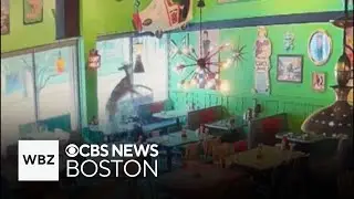 Deer caught on video crashing through New Hampshire restaurant