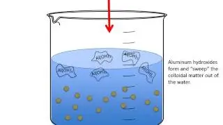 coagulation animation lesson 2