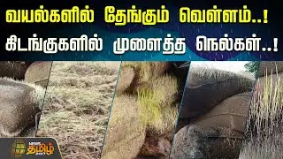 Paddy Damage | வயல்களில் தேங்கும் வெள்ளம்..! கிடங்குகளில் முளைத்த நெல்கள்..! | Heavy Rainfall News