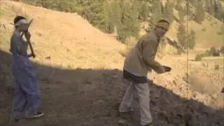 The Gold Rush - a school project