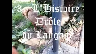 Consolatio et Compensatio