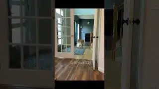 funny pet part 3 #feels #feelthefeels #reels #feelinspired