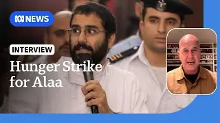 Peter Greste begins hunger strike to support Egypt's political prisoner | ABC News