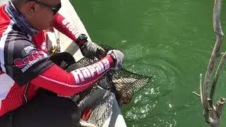 Murum Dam / Catch and Release 2