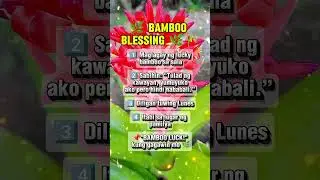 🌿 BAMBOO BLEEDING 🌿🎋 shorts #abundance #abundanceritual