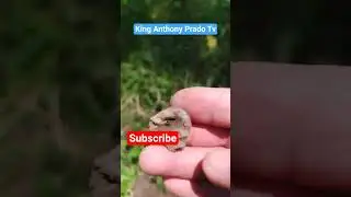 Metal Detecting in UL Padada. Ep.1 #metaldetecting