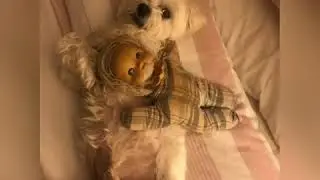 Baby boys adventures