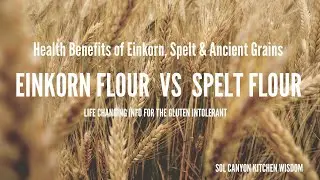 What is Einkorn Flour? | Einkorn Flour vs. Spelt Flour | Health Benefits of Ancient Grain Flours