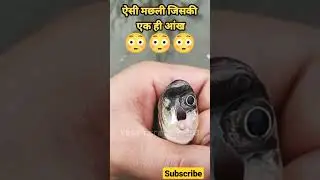 one eye fish #viral #fishing