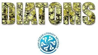 Diatoms, Irish Ocean Literacy Network.