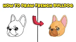 How to Draw a French Bulldog Head &ndash; Dog Breed Drawing Lesson