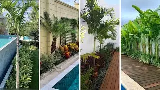 🌴 PAISAJISMO ALREDEDOR DE LA PISCINA &iexcl;IDEAS MODERNAS Y TROPICALES PARA TRANSFORMAR TU JARD&Iacute;N!
