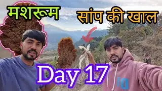 खेतों में मिले अद्भुत चीजें । खेती की जाए तो बहुत महंगी है । #पहाड़ीlifestyle 
