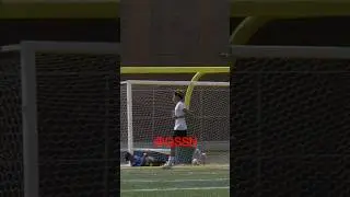 LIC v. Springfield Gardens