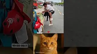 TALENTED AURA..🗿#shorts #cat #dance #memes