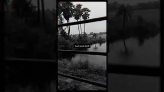 Zindagi Tere Rango se rangdari Na Ho paayi Whatsapp status &hearts;️ | Rangdaari Status |