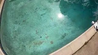 Home Inspections Pearland | Why Choose GC Home's Pool Leak Detection Service? | Call 281 675-5885