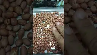 part 2# Result was awesome# enjoy full# like share and subscribe🥰🥰