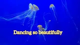 Японские танцы с морской крапивой