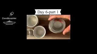آموزش استارتر خمیر ترش ،روز ششم