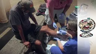 Hawaii's Staggering Homeless Problem