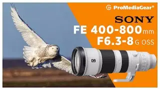 Sony 400-800mm &ndash; Is This the Ultimate Wildlife Lens? 🦅