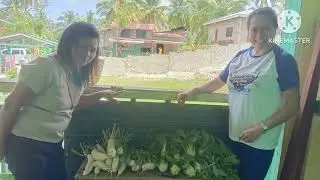 Gulayan sa Paaralan Program (GGP) Cerde&ntilde;a Elementary School