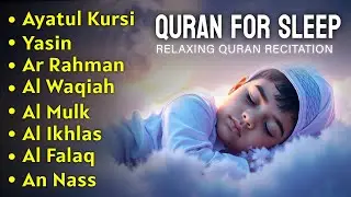 Quran recitation in a Soothe voice I Alfatiha Ayatul Al Kursi,Yasin ,Arrahman ,AlWaqiah By Alaa Aqel