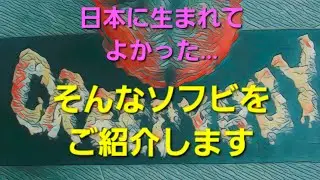 #22  しゃくれ男の秘蔵ソフビコレクション❗いざっ❕