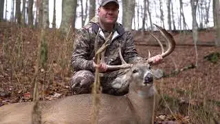 GIANT BUCK FROM THE GROUND