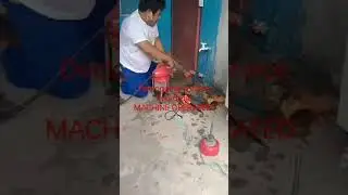 declogging service.. machine operated.  open 24/7..
