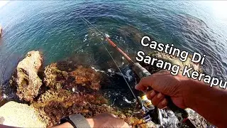 Casting Kerapu Saiz Besar (Guna Soft Plastik) Di Beringgis Sabah