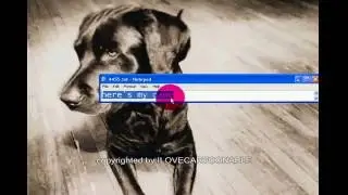 решение  ошибки microsoft visual c++ runtime library r6002