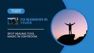 Lightroom Spot Fix Tutorial