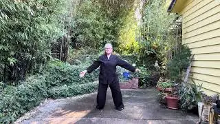 Wudang 9 front view Sept 25