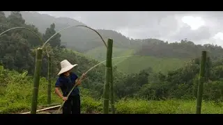 Building a Bamboo greenhouse for  $25  | Karen village Thailand