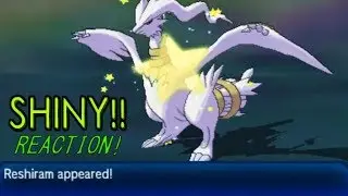 SHINY RESHIRAM APPEARS!! Shiny Reactions! Pokemon Ultra Sun!!
