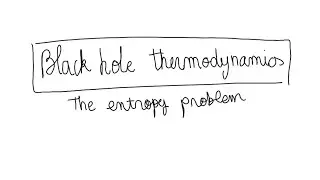 Black hole thermodynamics. The entropy problem.