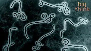 Sue Desmond-Hellmann: How Ebola Tested the Bill & Melinda Gates Foundation  | Big Think.